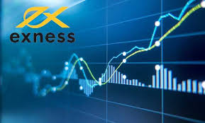 Understanding Exness Contact Details for Better Trading
